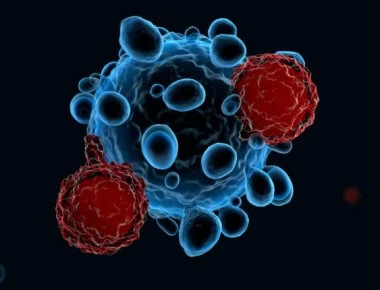 Αυτή είναι η «αχίλλειος πτέρνα» του καρκίνου - Σε ποια λαχανικά βρίσκεται το πολύτιμο συστατικό (φώτο)